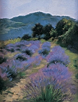 Livre1_213.jpg