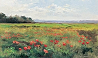 Livre1_221.jpg